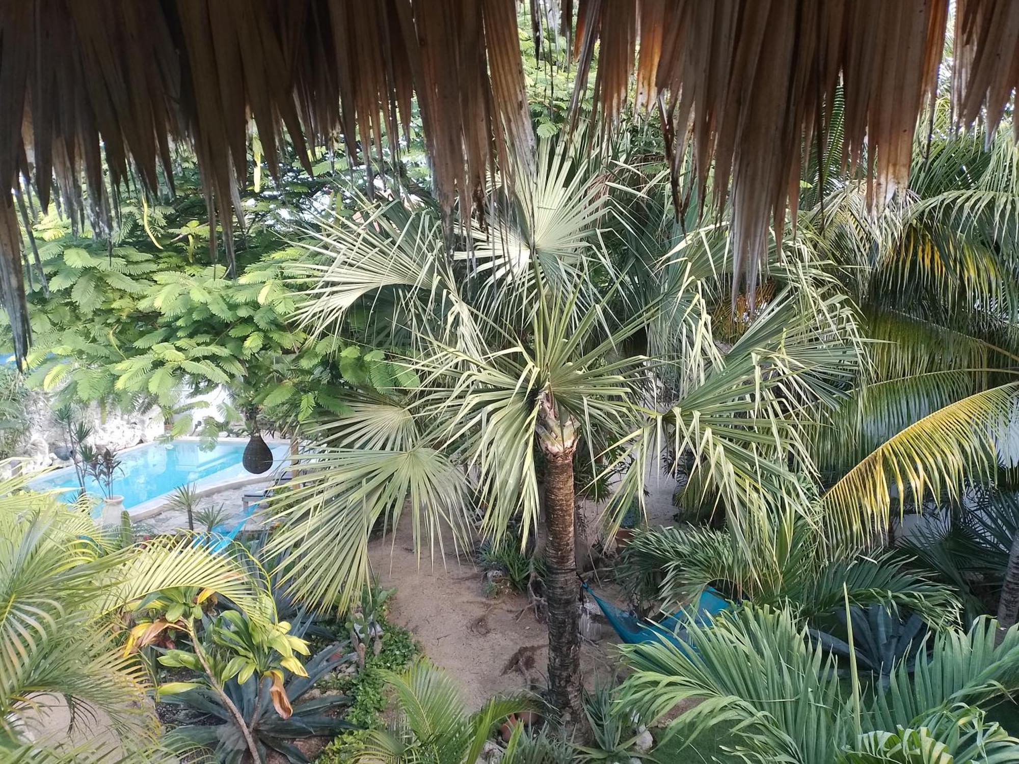 מלון טולום Zamunda Garden View מראה חיצוני תמונה