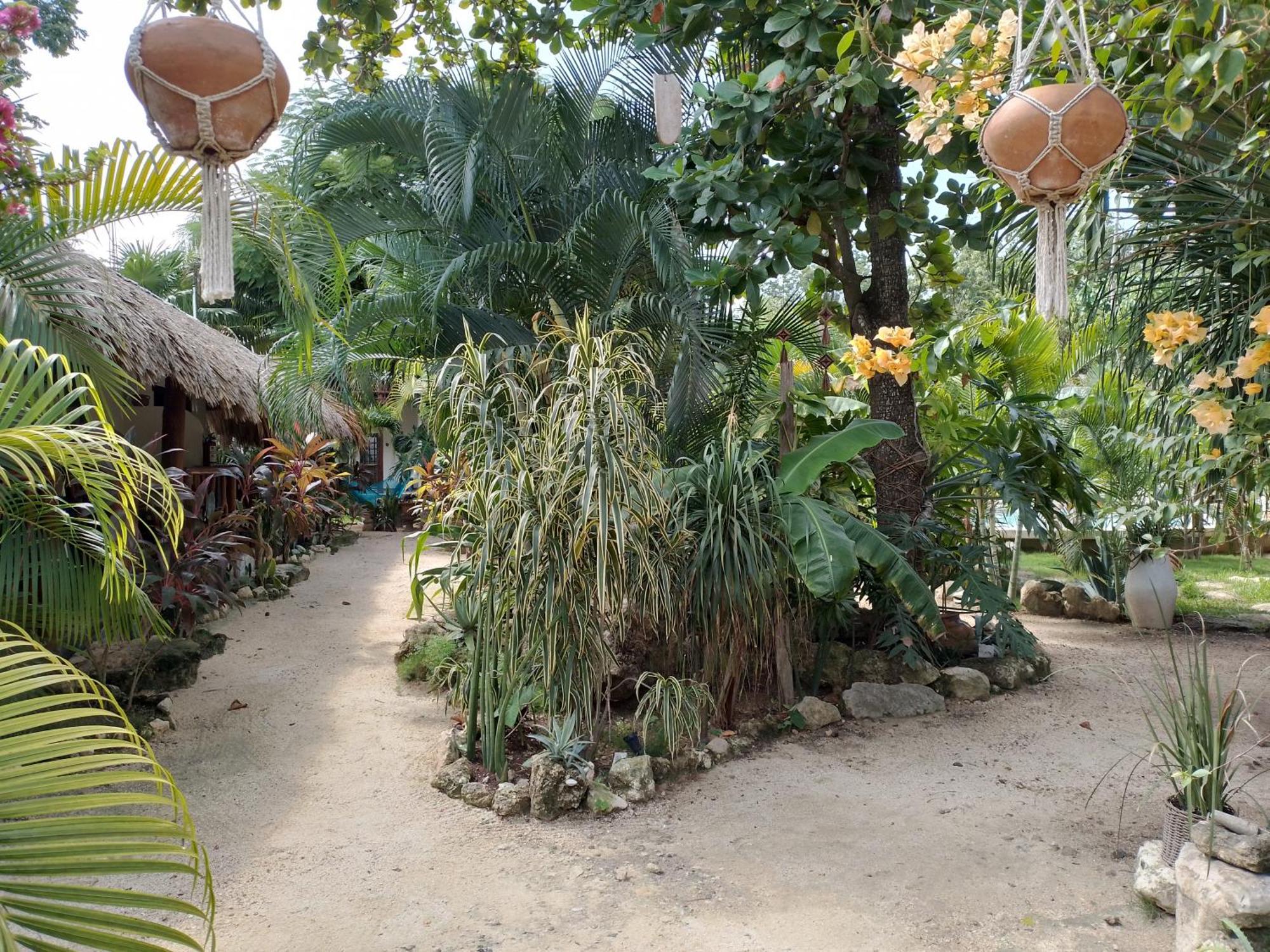 מלון טולום Zamunda Garden View מראה חיצוני תמונה