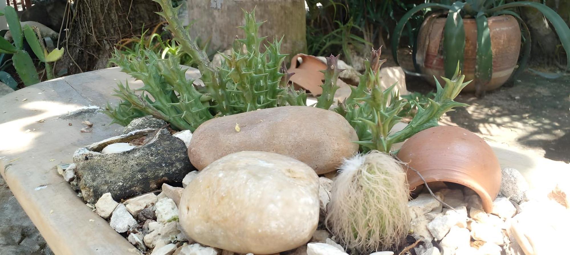מלון טולום Zamunda Garden View מראה חיצוני תמונה