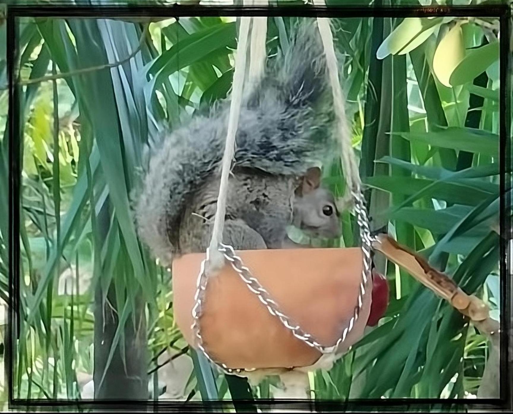 מלון טולום Zamunda Garden View מראה חיצוני תמונה