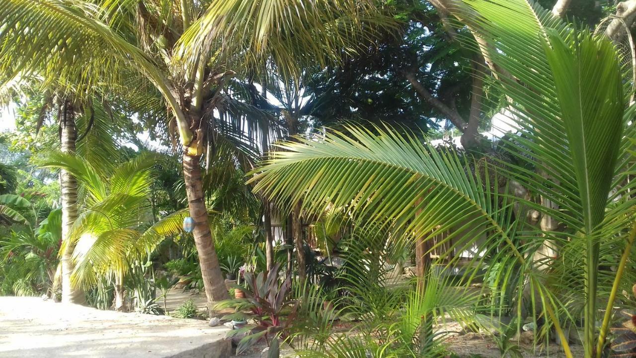 מלון טולום Zamunda Garden View מראה חיצוני תמונה